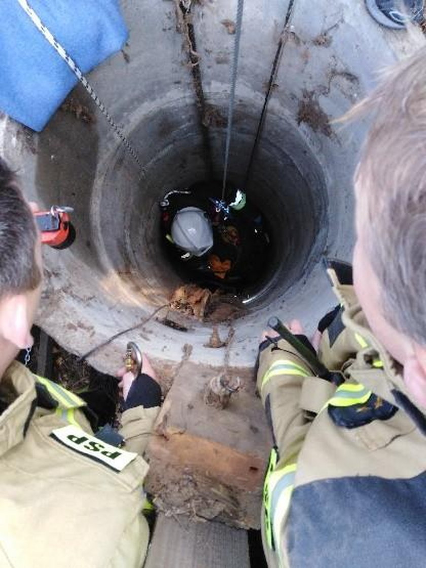 Kot wpadł do 13-metrowej studni! 