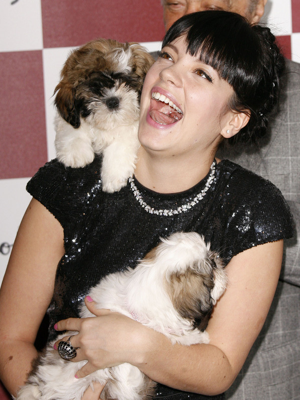 Lily Allen