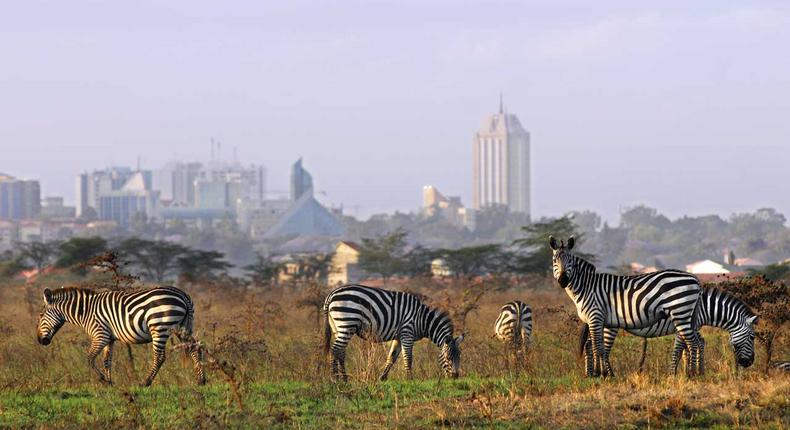 Kenya's capital is the only city in the world with a National park withing meters away.