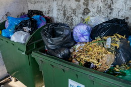 Rachunki za śmieci nadal będą wysokie. Nowe przepisy nie pomogą