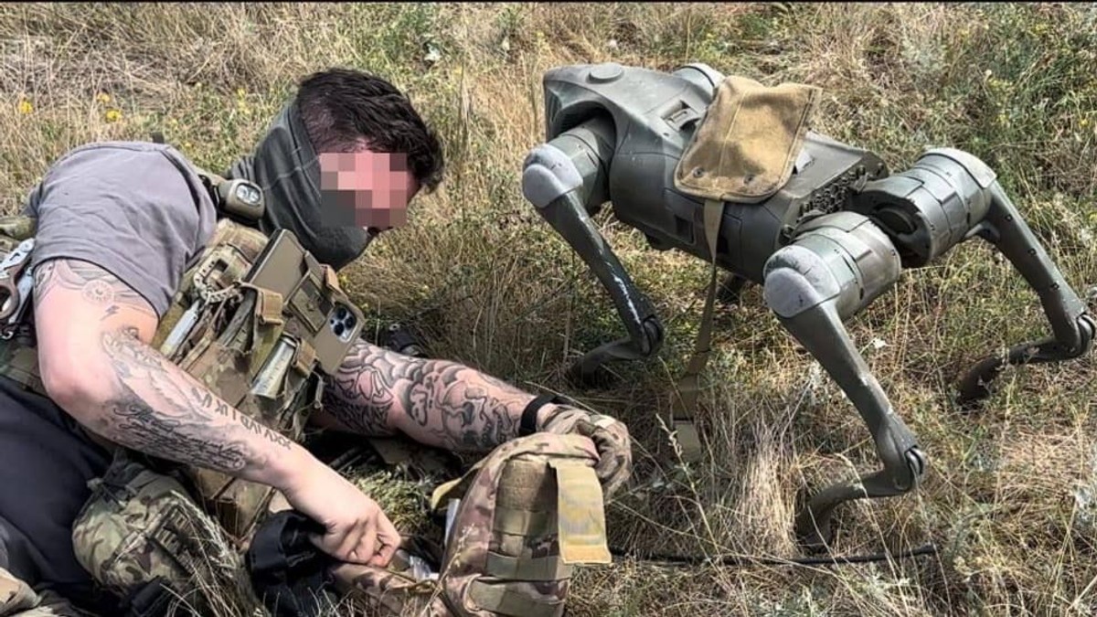 Tajemnica psów-dronów. Chiński trop na ukraińskim froncie /Fot. 28. Brygada Zmechanizowana