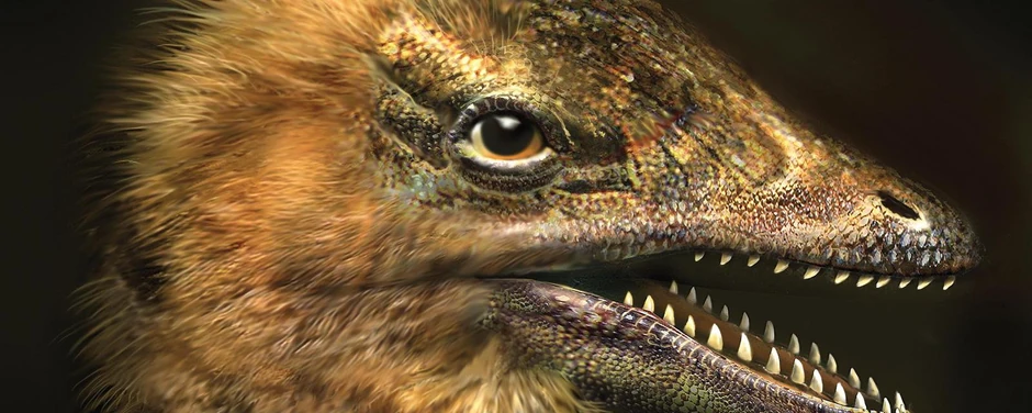 Rani pripadnik ptica za pretke je imao dinosauruse