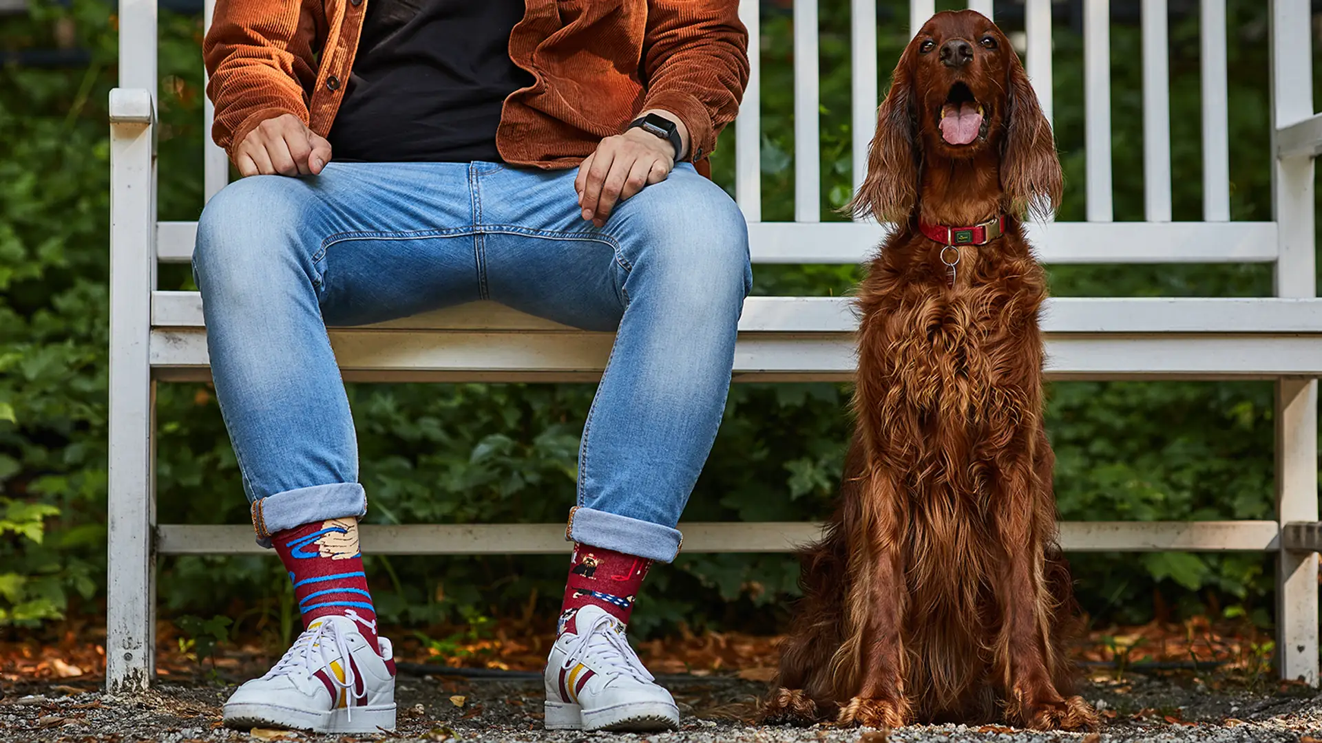 Weź psa ze schroniska na spacer, dostaniesz skarpetki. Rusza 4. edycja akcji Many Walks