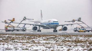 "Mechaniczne ptaki" muszą być bezpieczne. Specjalni agenci wiedzą, jak to zrobić