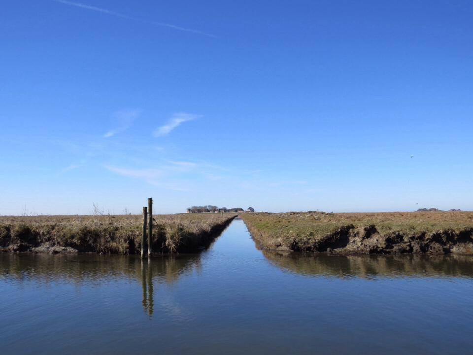 Wyspa Hallig Hooge, Niemcy