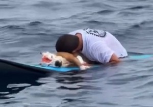 Surfer se oprašta od svog psa