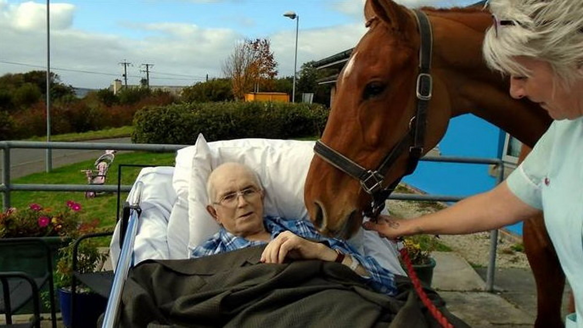 Ostatnim życzeniem umierającego na raka Franka Keata z Wielkiej Brytanii było spotkanie ukochanego konia. Pracownicy szpitala w porozumieniu z rodziną przyprowadzili zwierzę na szpitalny ogród. Mężczyzna zmarł trzy dni później.