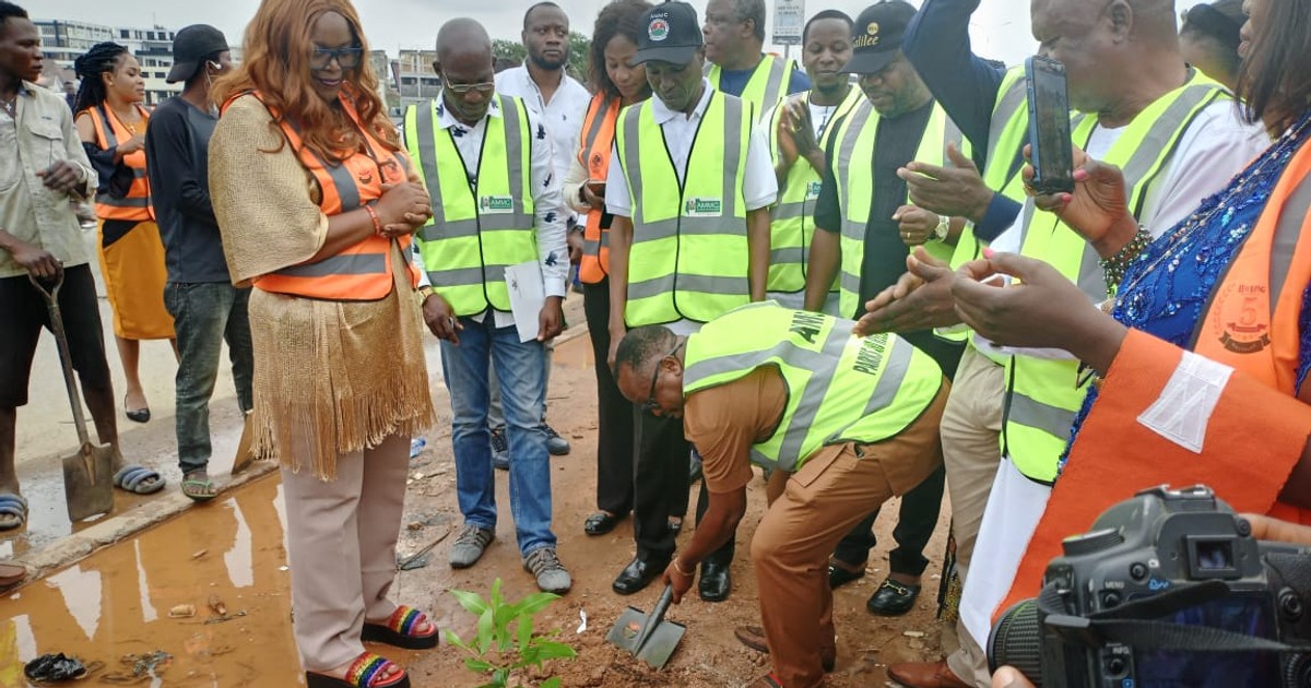 'FCTA to remove trees destroying public infrastructure in Abuja' – Official - Vimarsana News