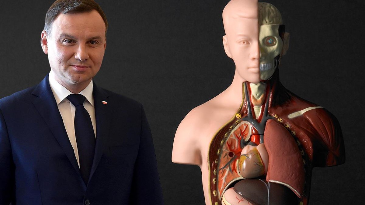 Andrzej Duda, organy