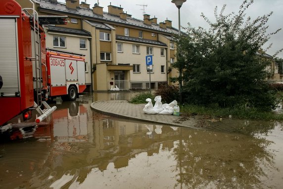 Ulica Działkowa