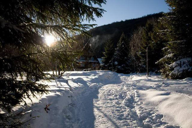 Galeria Polska - Bieszczady w zimowej szacie, obrazek 51