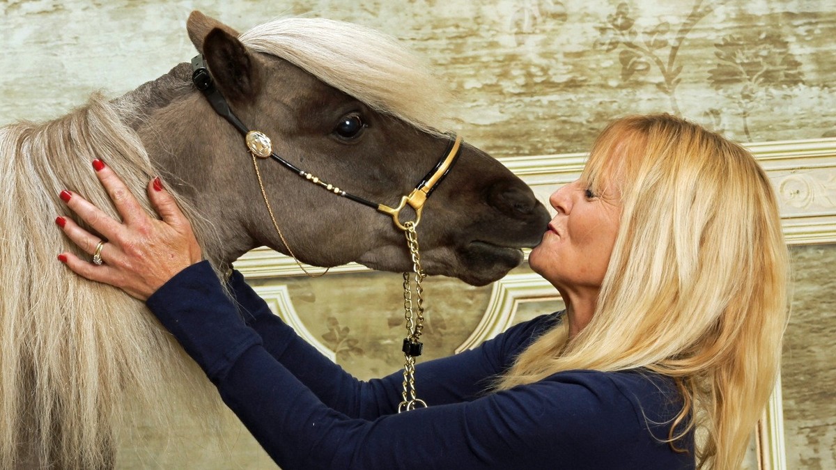 468202_konj-terapija01-foto-profimedia-rs