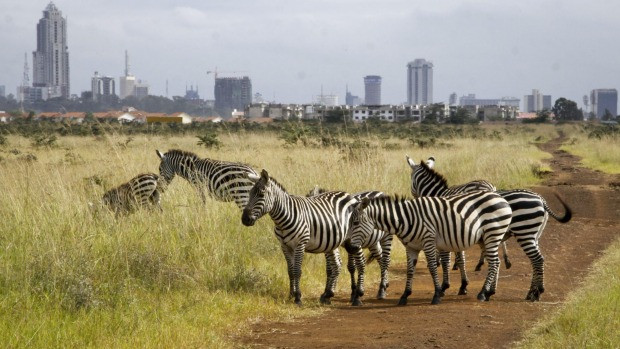View of Kenya's Capital from Nairobi National Park.