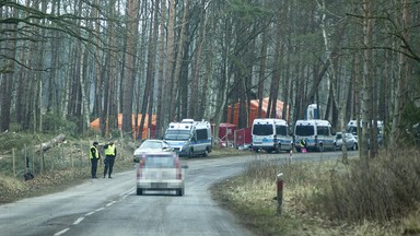 Trwa wielka wycinka drzew pod przekop Mierzei Wiślanej. Szykują się protesty, jest skarga do Komisji Europejskiej