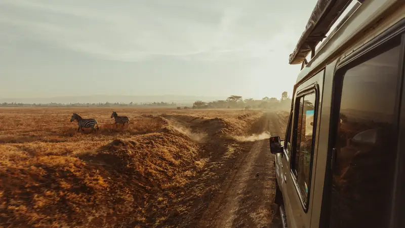 Safari to jedna  z tych atrakcji, które nigdy wam się nie znudzą