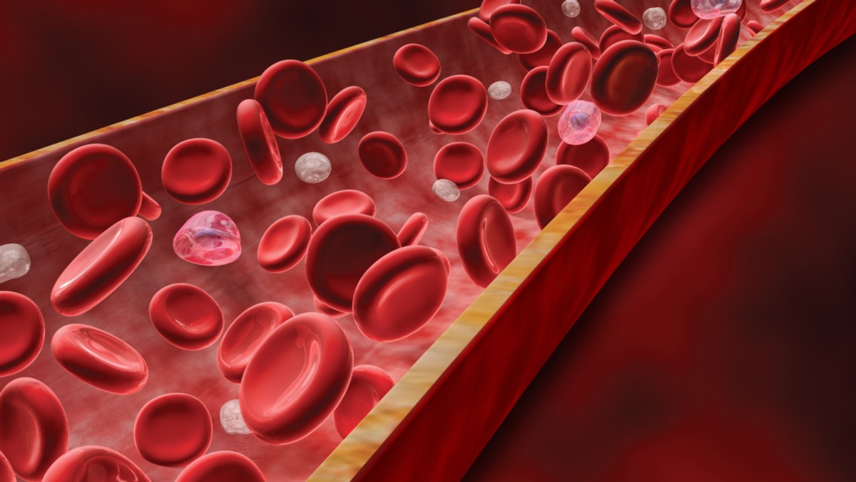 Połowa młodych ludzi ma podwyższony poziom cholesterolu, co w przyszłości grozi chorobą wieńcową, zawałami serca i udarami – wynika z badań przeprowadzonych przez biobank we Wrocławiu.