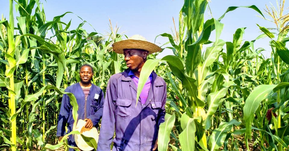 'Northern Nigeria has potential to feed the nation, be a global force within a short time' – Don - Vimarsana News