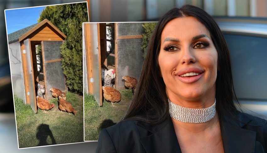 Seka ima kokošinjac u dvorištu vile