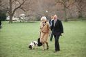 Czworonożni mieszkańcy Białego Domu: Millie (pies George'a H. Busha i jego żony Barbary)