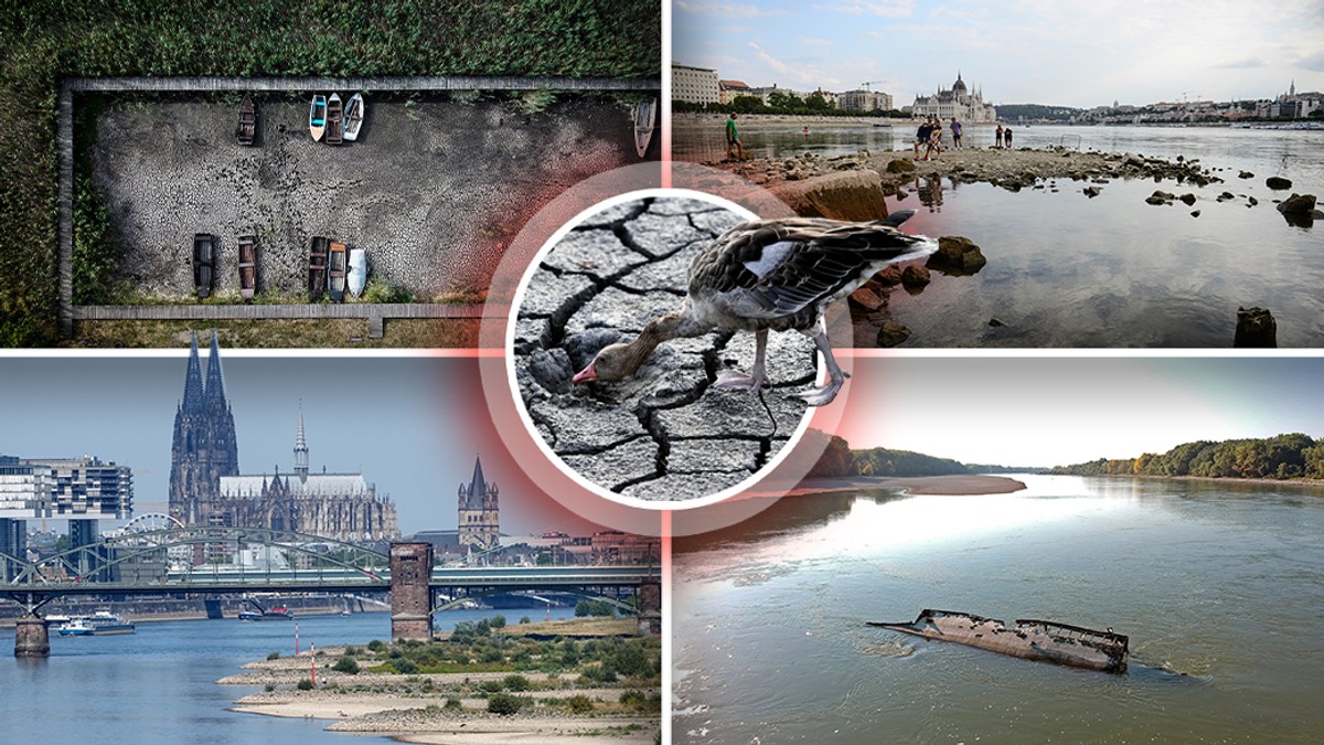 www.blic.rs