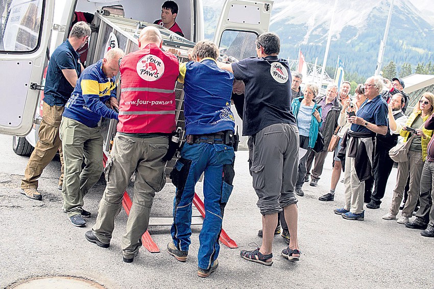 Mnogi su se okupili da pomognu medi