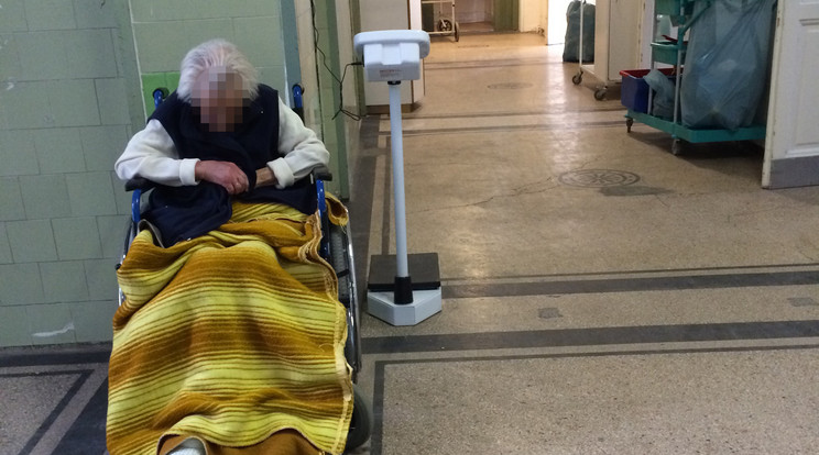 A lepukkant külsejű
belgyógyászaton magányosan ült egy tolószékben az idős néni