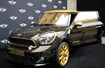 Mini Paceman