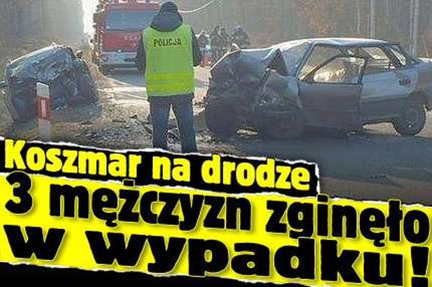 Koszmar na drodze. 3 mężczyzn zginęło w wypadku!