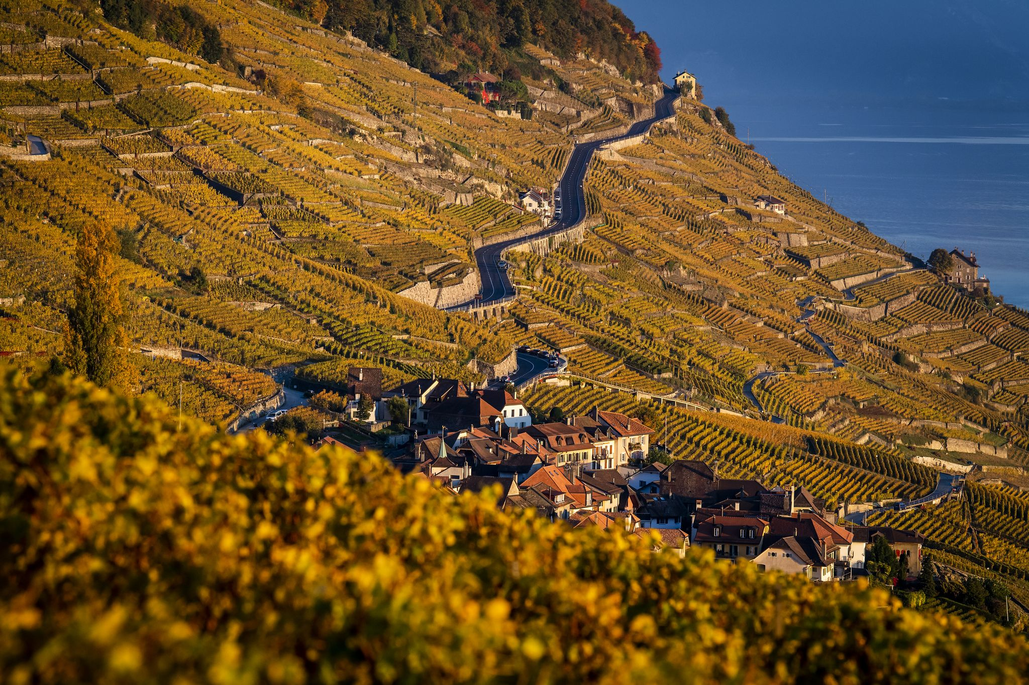 Betrunken im Parlament? Schweizer Grüner will 0,5-Promille-Grenze einführen