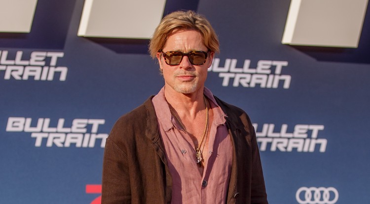 Brad Pitt A gyilkos járat premierjén