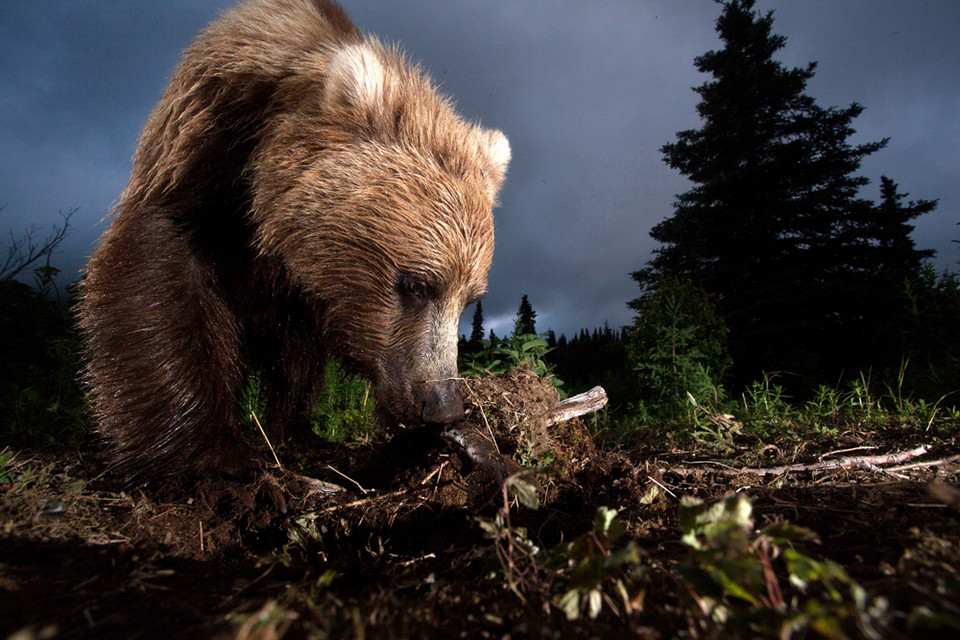 National Geographic Photography Contest 2012