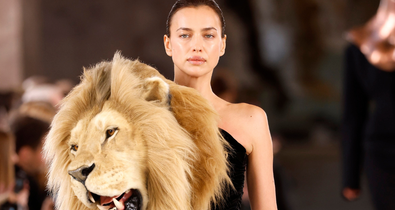 Meditáció, álom vagy egy belső utazás során mindig ugyanaz az állat jelenik meg előtted? Nem véletlen