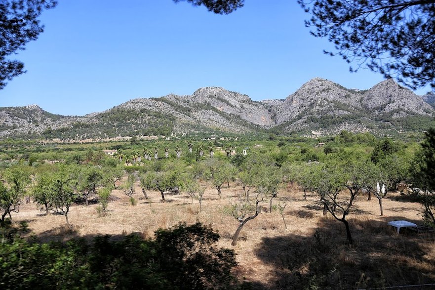 Soller