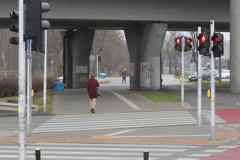 Jadwiga Emilewicz na przejściu dla pieszych na czerwonym świetle