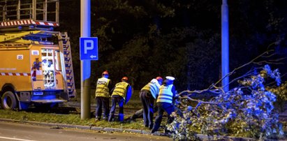 Oto, co zostawiły po sobie wichury. Skala zniszczeń jest ogromna