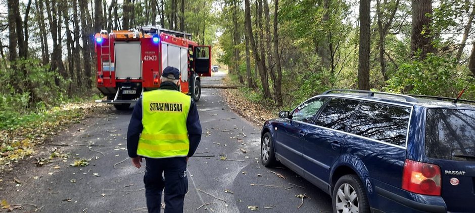 Zerwane linie energetyczne, uszkodzone pojazdy i powolne drzewa. Nad regionem przechodzi wichura