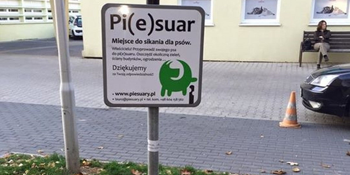 Piesuar