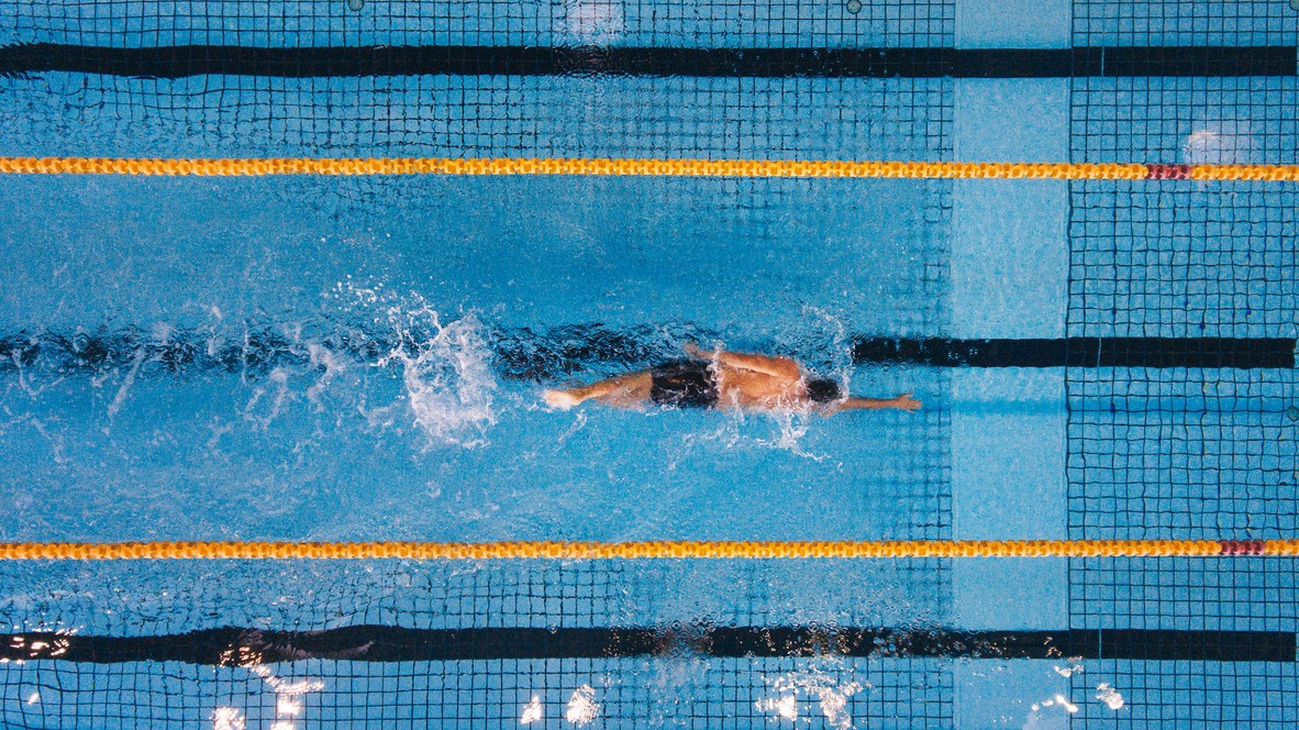 Najlepsi Polscy Plywacy W Zatoce Sportu Wiadomosci