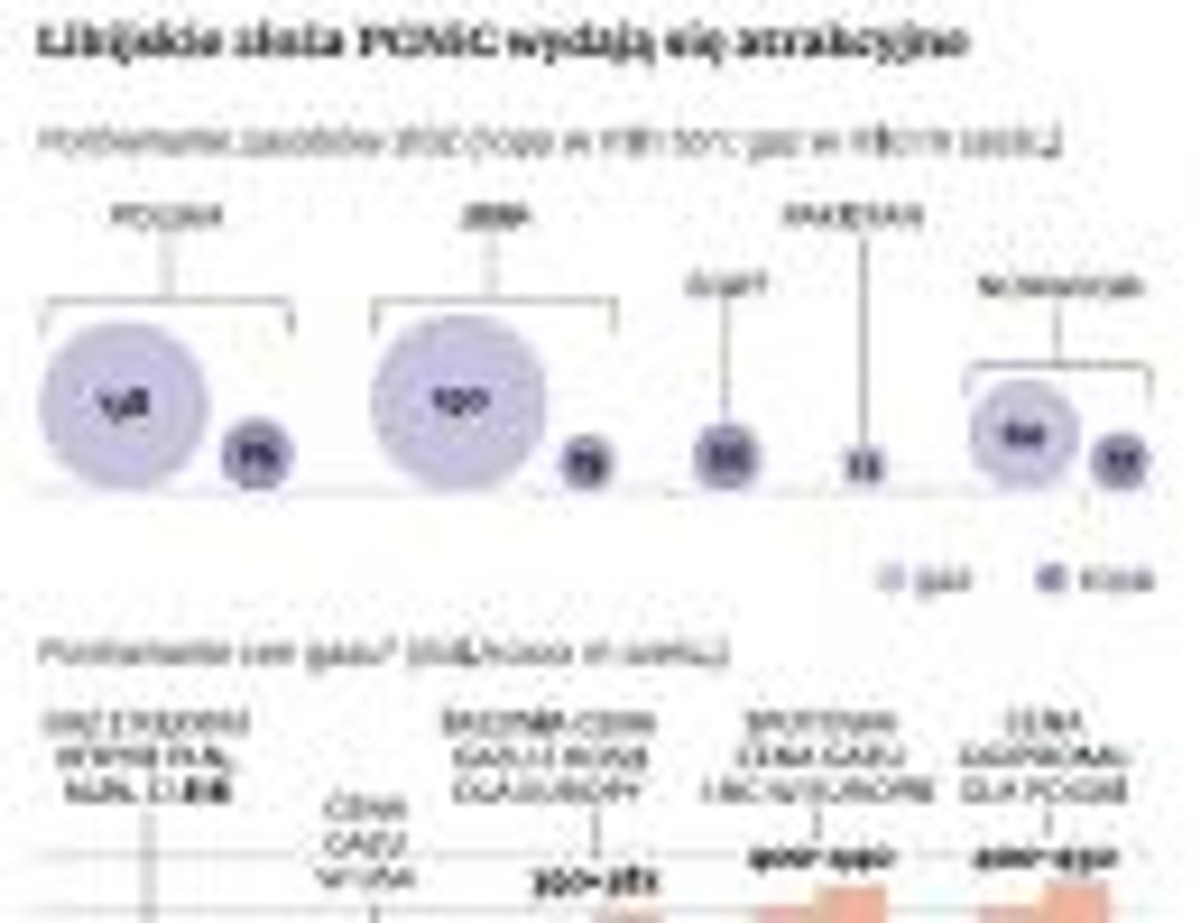 Libijskie złoża PGNiG wydają się atrakcyjne