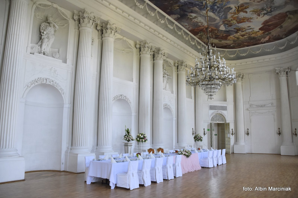 Zamek w Rydzynie, sala balowa, Wielkopolska  (4)