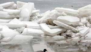 Uskoro novo jako zahlađenje: Ove velike reke u Srbiji će se zalediti
