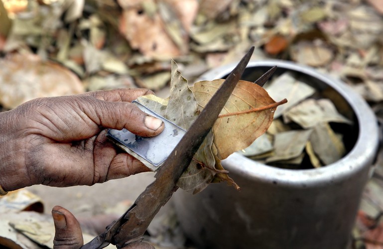 Tradycja i skręcane papierosy beedi powoli zabijają Hindusów