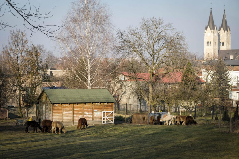 Ruda Śląska