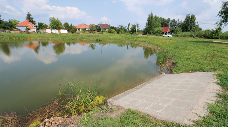 Nevelőanyja sírva nézte, hogyan harcolnak a kicsi életéért /Fotó: Varga Imre