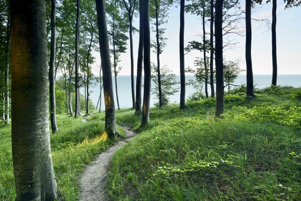 JASMUND na Rugii to najmniejszy Park Narodowy w Niemczech