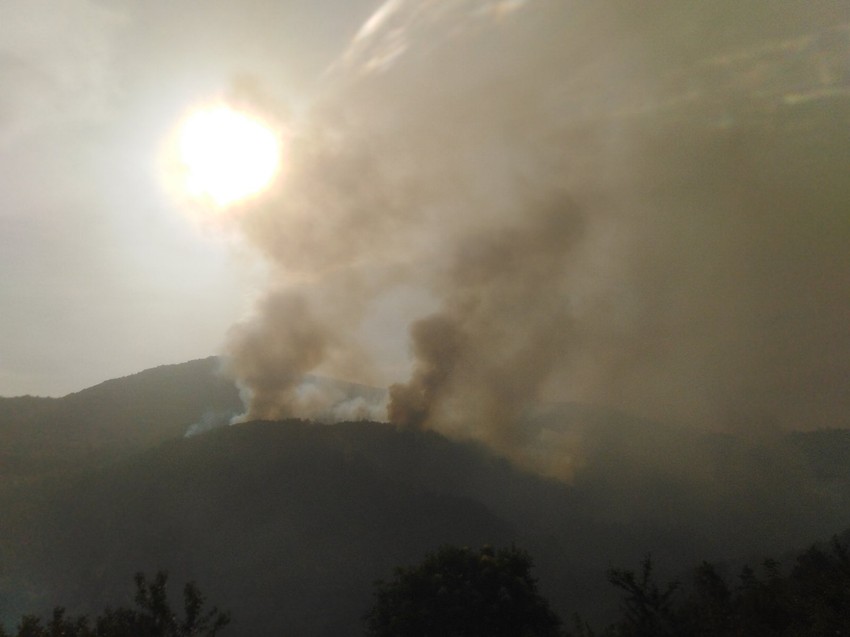 Požar kod manastira Studenica