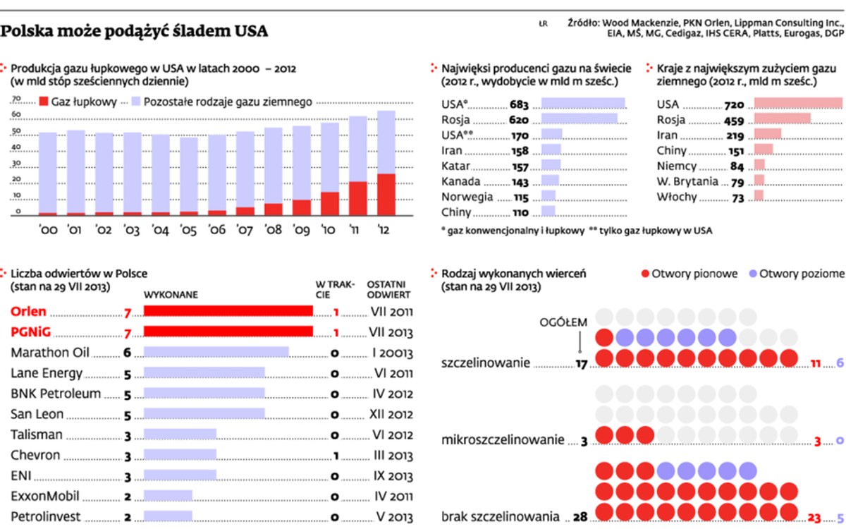 Polska może podążyć śladem USA
