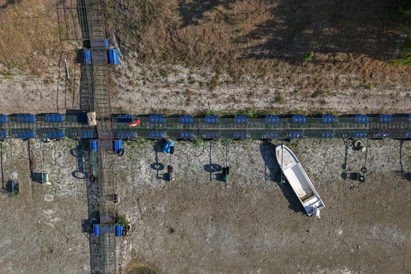 VELIKI PROBLEM ZA TRI KOMŠIJSKE ZEMLJE Dunav se povukao i nastao haos, u Srbiji situacija stabilna