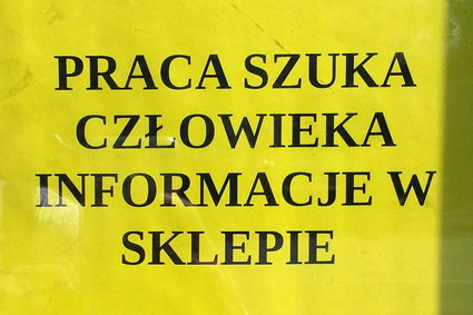 GUS podał najnowsze dane. W Polsce jest coraz mniejsze bezrobocie