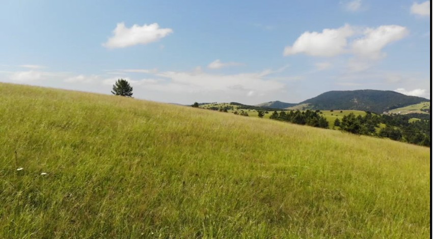 Želi da otkrije ljudima sve benefite koje priroda ima